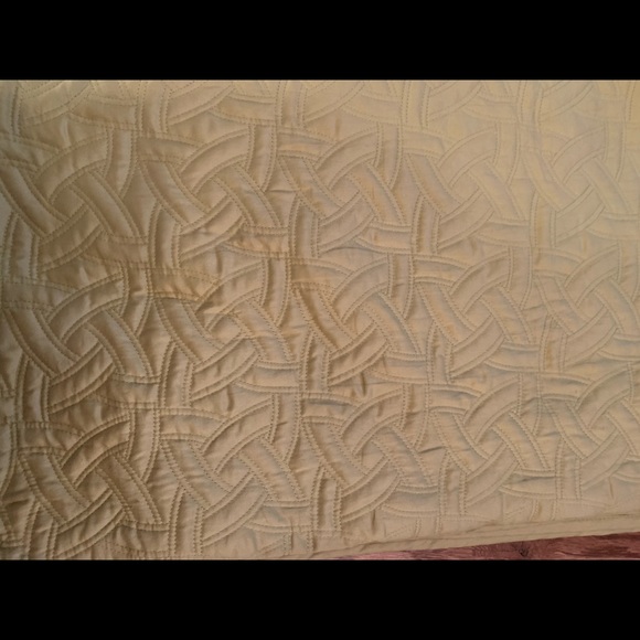 Simply Vera Wang comforter and 2 euro shams in Citrine Green - Picture 8 of 10